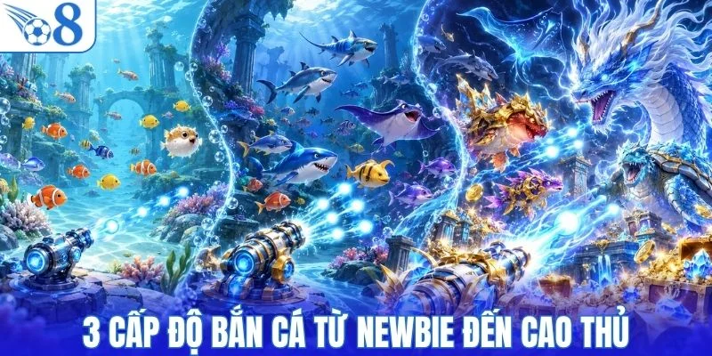3 cấp độ bắn cá từ newbie đến cao thủ