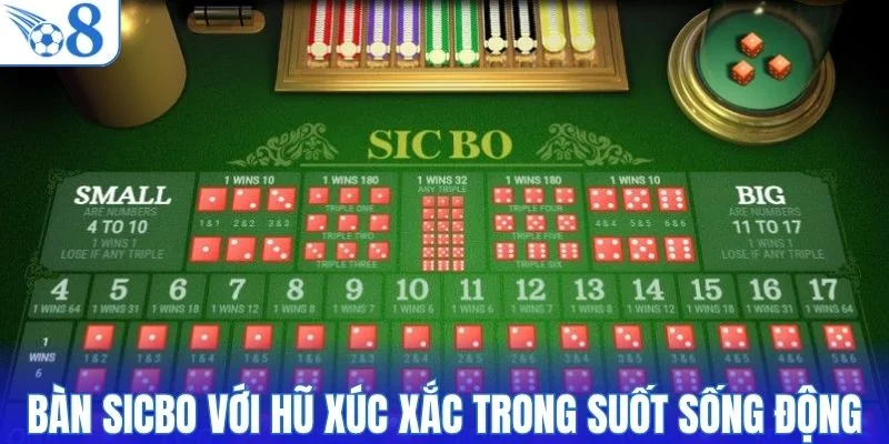 Bàn Sicbo với hũ xúc xắc trong suốt sống động