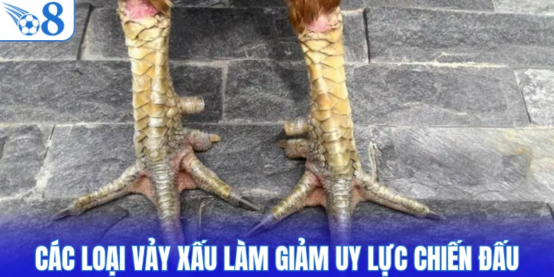 Các loại vảy xấu làm giảm uy lực chiến đấu