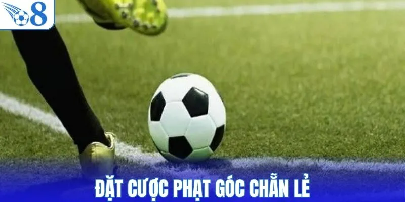 Đặt cược phạt góc chẵn lẻ