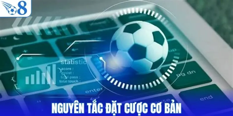 Nguyên tắc đặt cược cơ bản