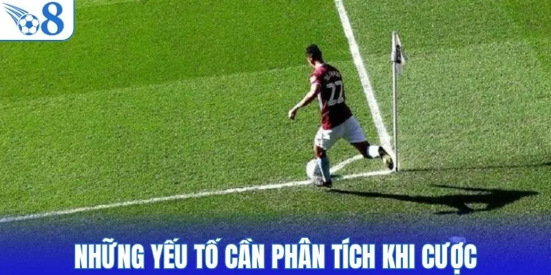 Những yếu tố cần phân tích khi cược