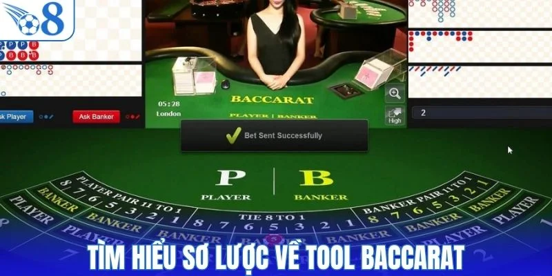 Tìm hiểu sơ lược về tool baccarat