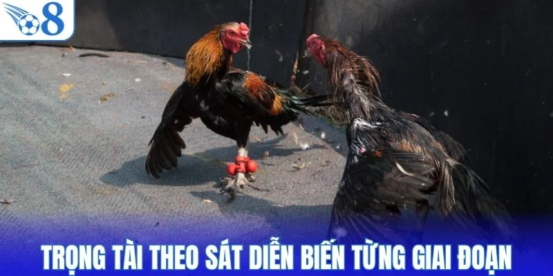 Trọng tài theo sát diễn biến từng giai đoạn của trận